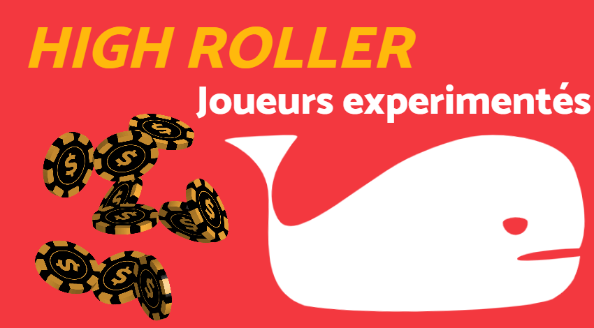 Joueur High Roller casino